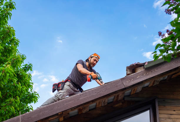 Best 4 Ply Roofing  in Alvord, TX